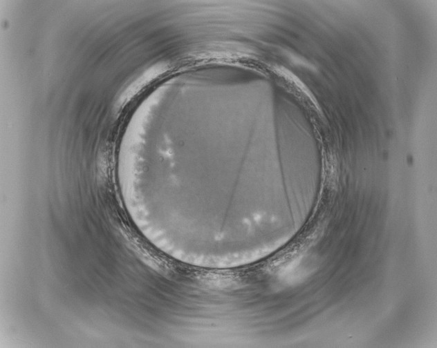 X0000087410874200705111849