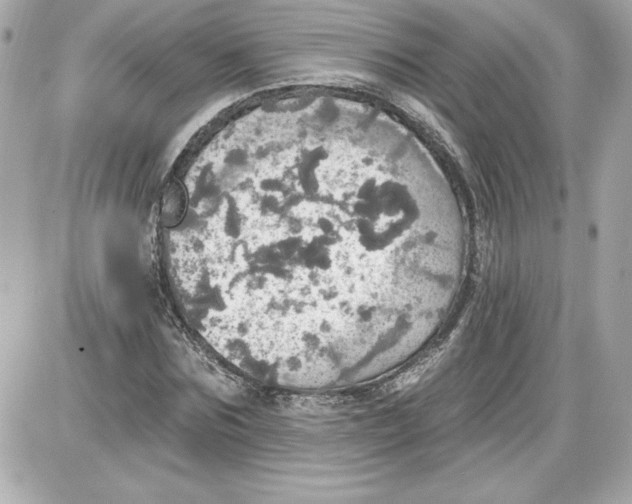 X0000087410875200705111849