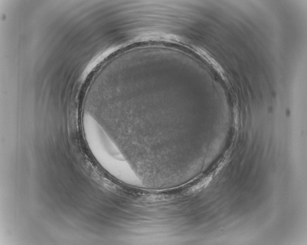 X0000087410877200705111848