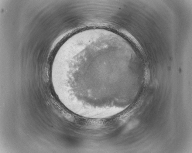 X0000087410878200705111848