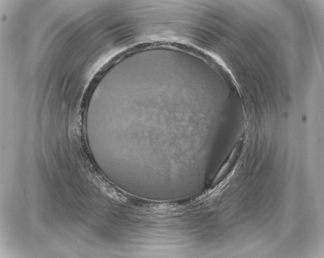 X0000087410879200705111848