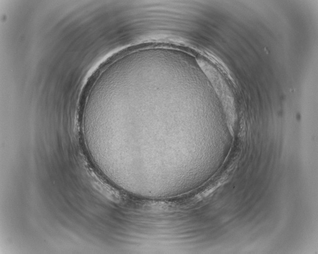 X0000087410880200705111848