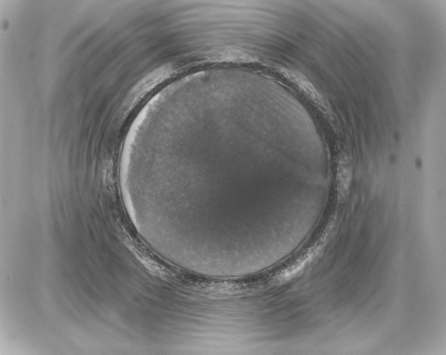 X0000087410881200705111848