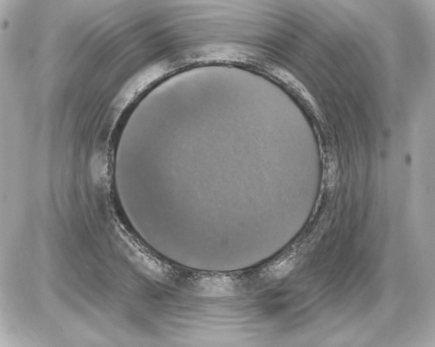 X0000087410882200705111848