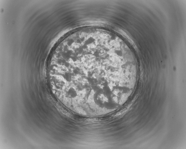 X0000087410883200705111848