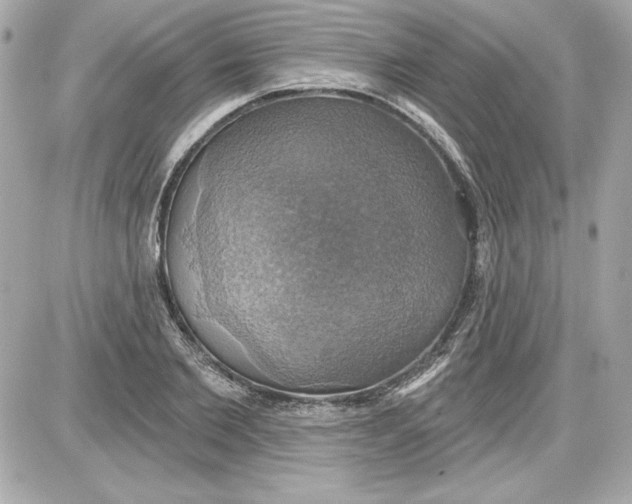 X0000087410885200705111848