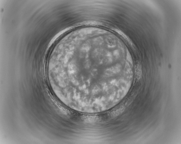 X0000087410886200705111848