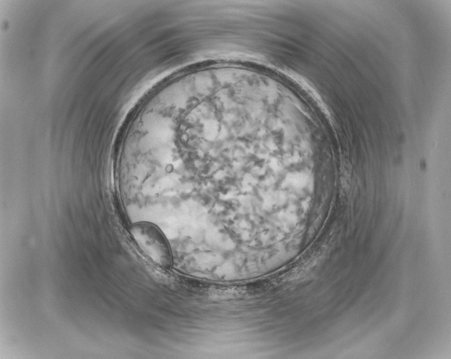 X0000087410887200705111848