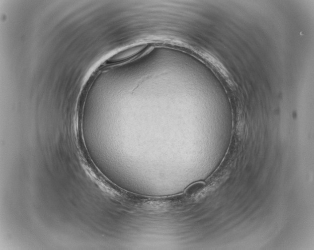 X0000087410888200705111848