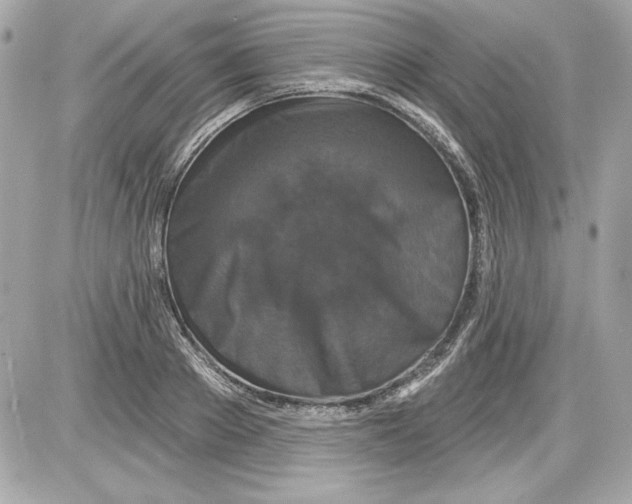 X0000087410889200705111848