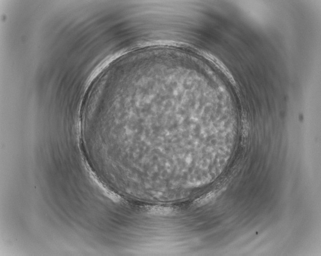 X0000087410890200705111848