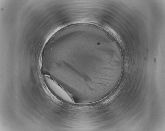 X0000087410892200705111848