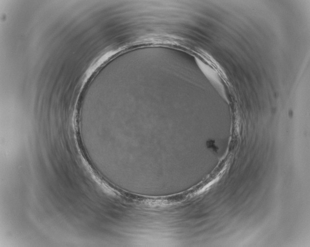 X0000087410893200705111848