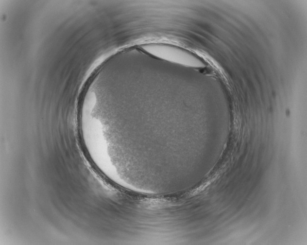 X0000087410894200705111848