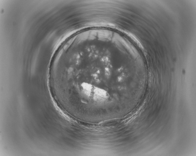 X0000087410895200705111848