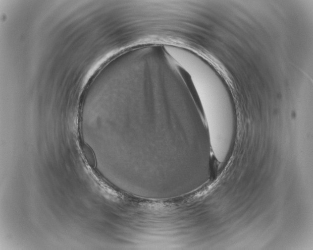 X0000087410896200705111848