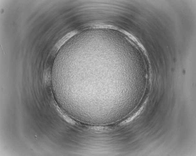 X0000087410897200705111848