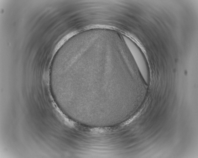 X0000087410898200705111848