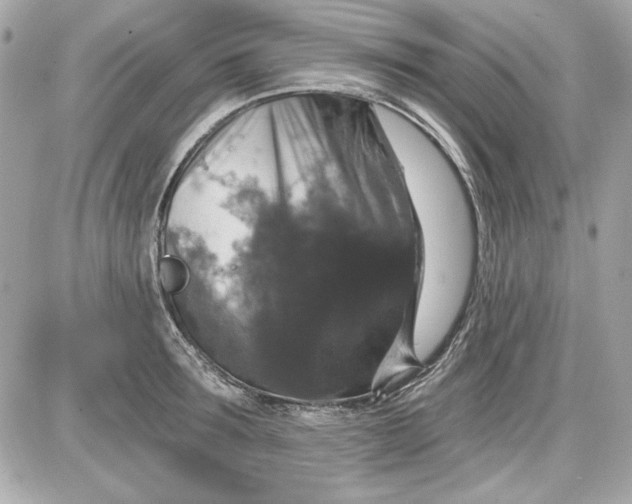 X0000087410899200705111848