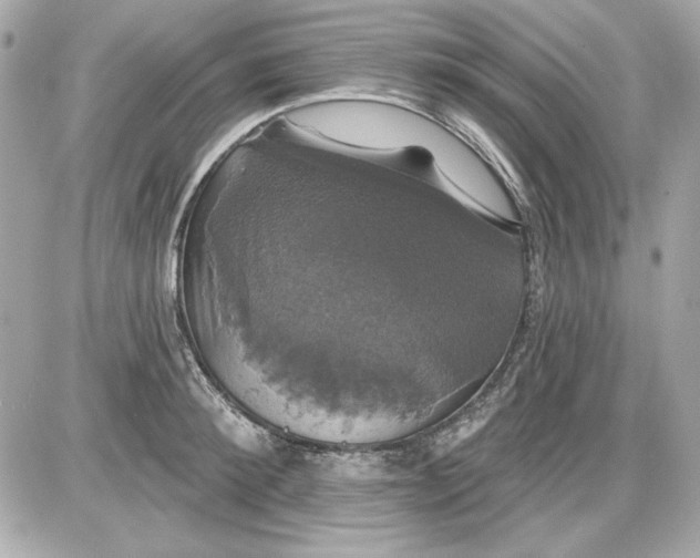 X0000087410900200705111848