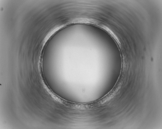 X0000087410901200705111848