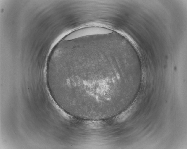 X0000087410902200705111848