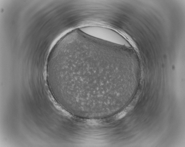 X0000087410904200705111848