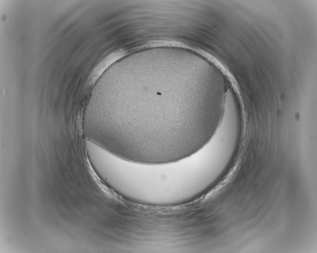 X0000087410905200705111848