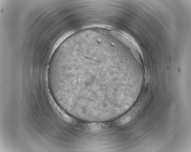 X0000087410906200705111848