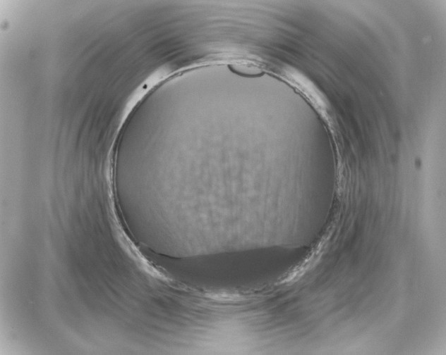 X0000087410907200705111848