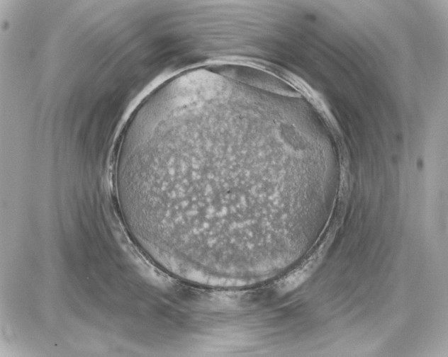 X0000087410908200705111848