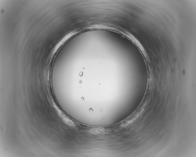 X0000087410909200705111848