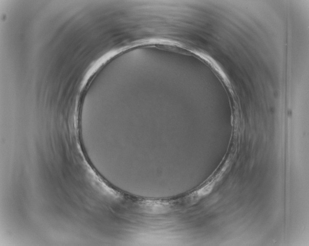 X0000087410910200705111848