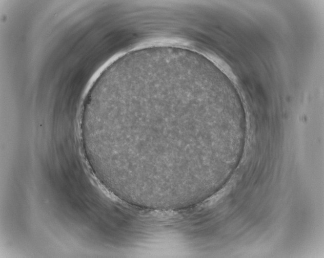 X0000087410912200705111848