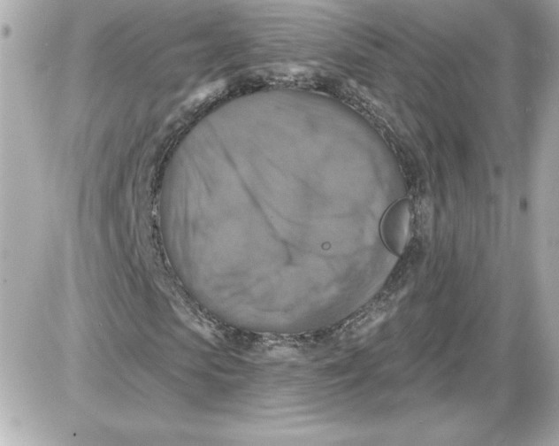 X0000087410913200705111847