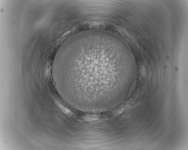 X0000087410914200705111847