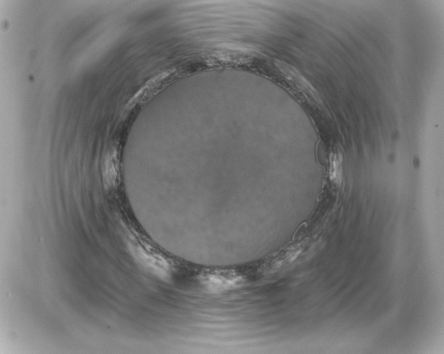 X0000087410915200705111847