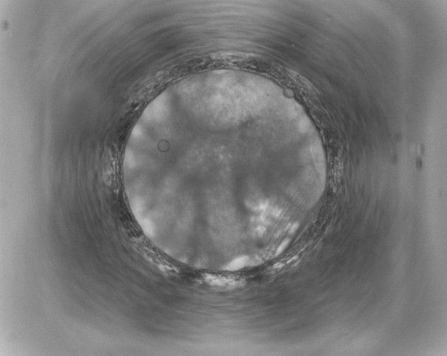 X0000087410917200705111847