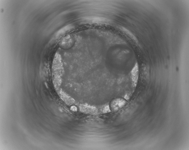 X0000087410918200705111847