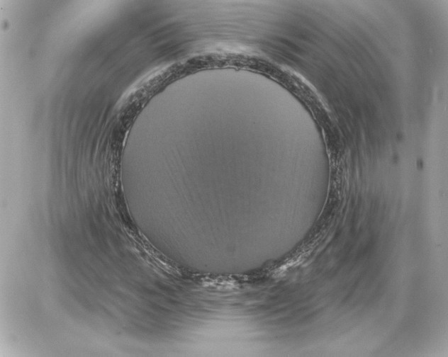 X0000087410919200705111847