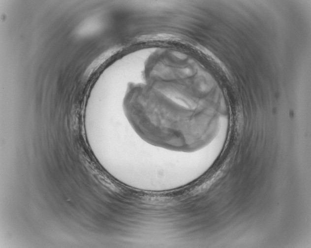 X0000087410921200705111847