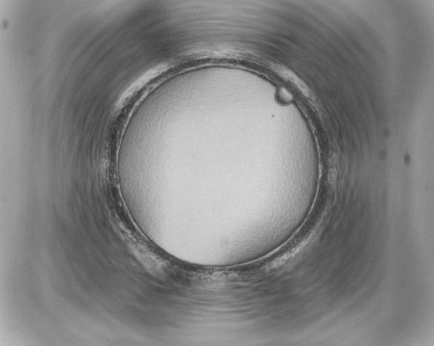 X0000087410922200705111847