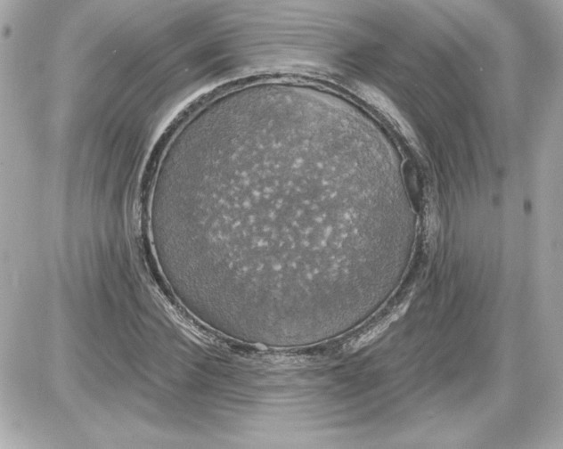 X0000087410924200705111847