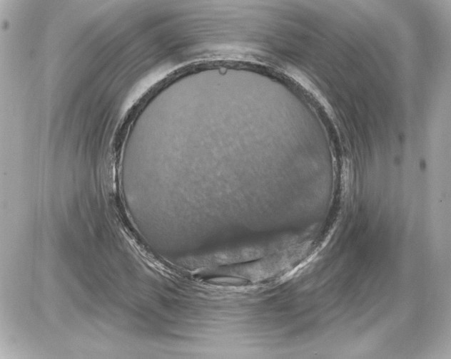 X0000087410925200705111847