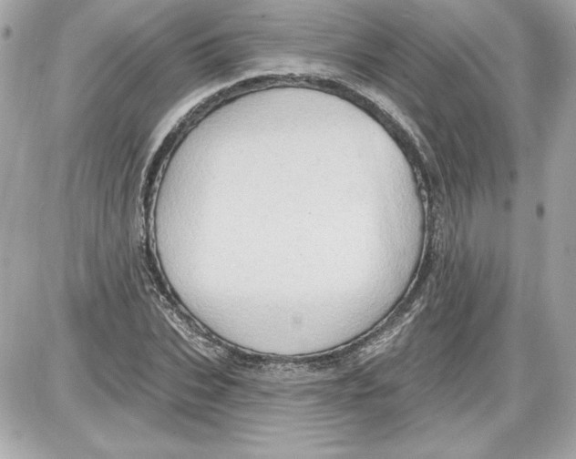 X0000087410927200705111847