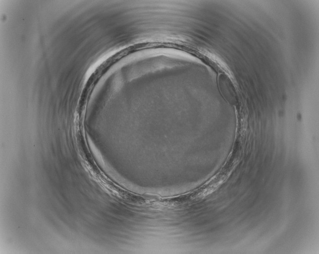 X0000087410928200705111847