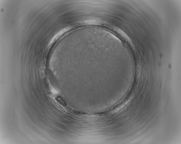 X0000087410930200705111847