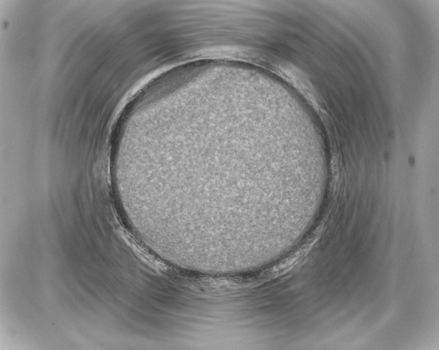 X0000087410931200705111847