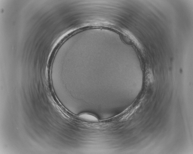 X0000087410932200705111847