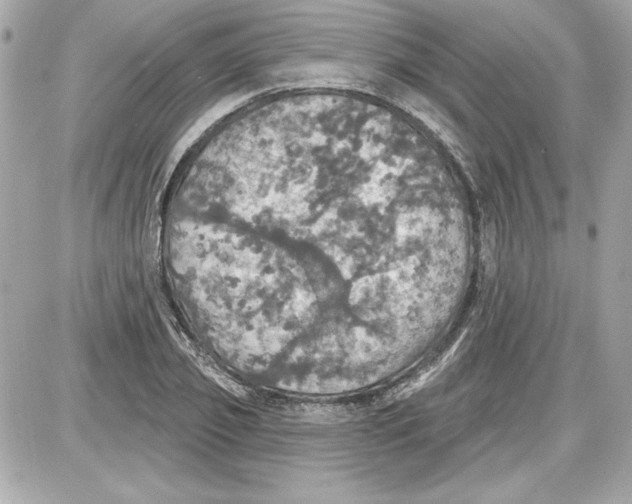 X0000087410933200705111847